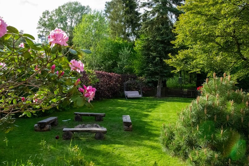 Lawn Maintenance