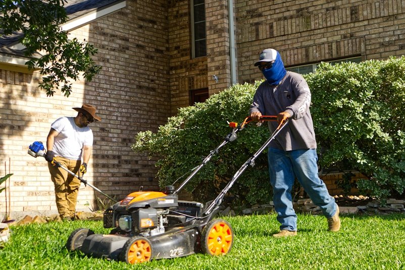 Seasonal Cleanup