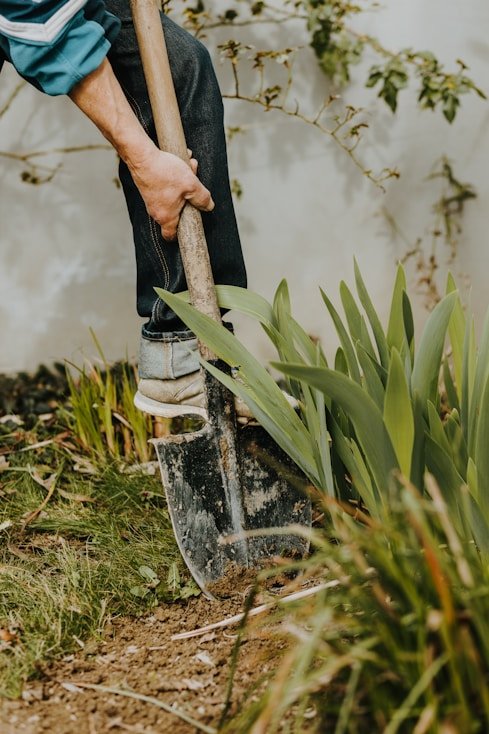 Yard Cleanup