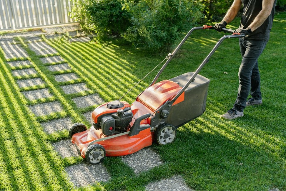 Modern Lawn