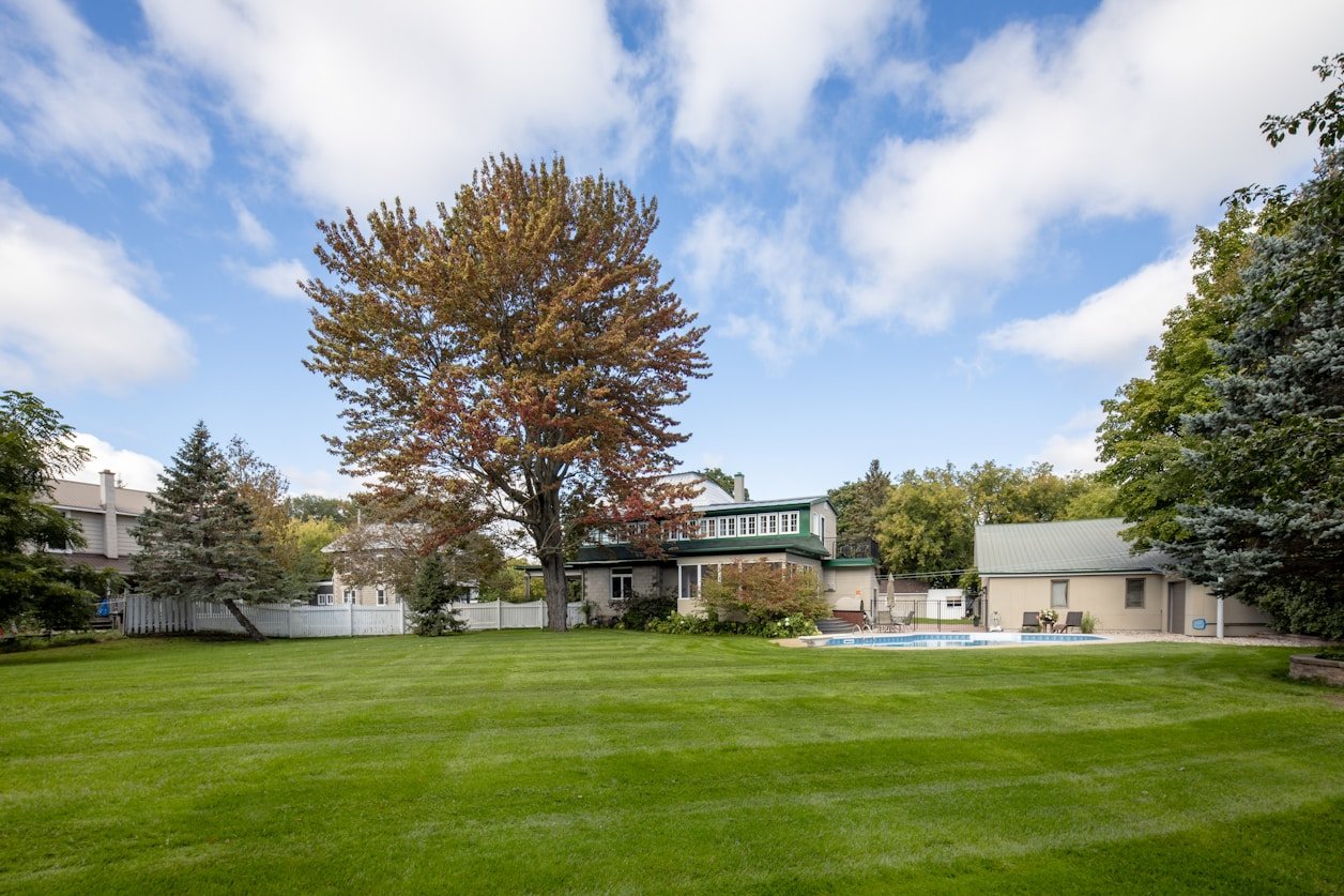 Yard Restoration